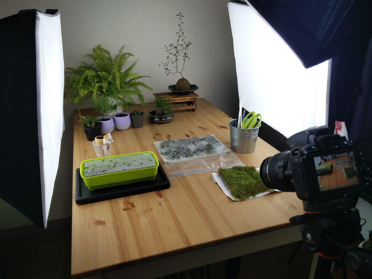 Une table en bois éclairée par deux boîtes à lumière, avec des plantes, de la mousse et des outils, et un appareil photo sur trépied au premier plan