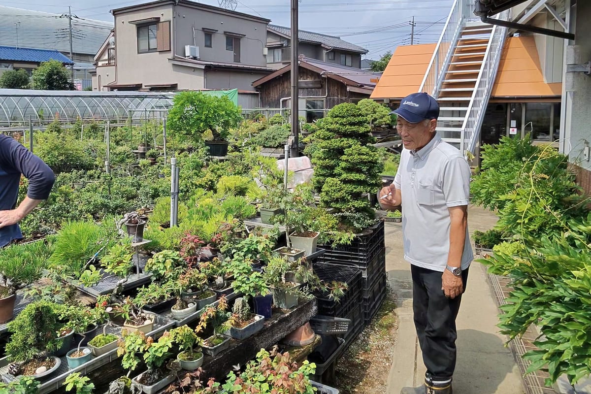 Adrien en discussion avec un producteur de bonsaïs au Japon